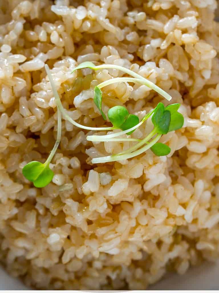 Arroz integral com uma erva verde em cima, servido em uma tigela pequena branca